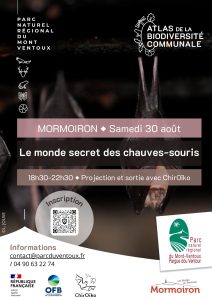 Nuit de la chauve-souris à Mormoiron
