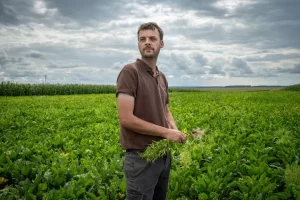 Les mesnonges de la FNSEA et des J.A: les toxiques agricoles ne sont pas indispensables. Il faut simplement réfléchir et comprendre la nature.
