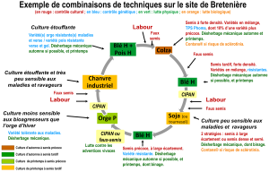 exemple de combinaison technique sur le site expérimental Bretenière