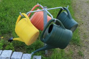 Pots, arrosoirs, bâches... Il faut les vider très régulièrement pour qu’ils ne deviennent pas des lieux de ponte